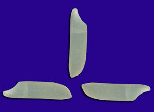 Basmati D-98 / Pk-198